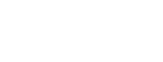 A black and white logo for chapman data intelligence.